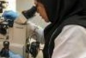 آزمایشگاه های کرج | آزمایشگاه های ژنتیک کرج | آزمایشگاه های تشخیص طبی کرج